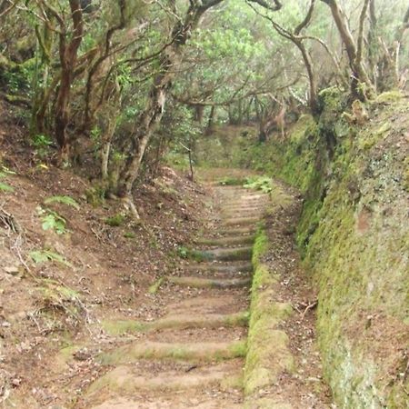 Casa Del Cu Bano B- Biosphere Reserve Santa Cruz de Tenerife Dış mekan fotoğraf