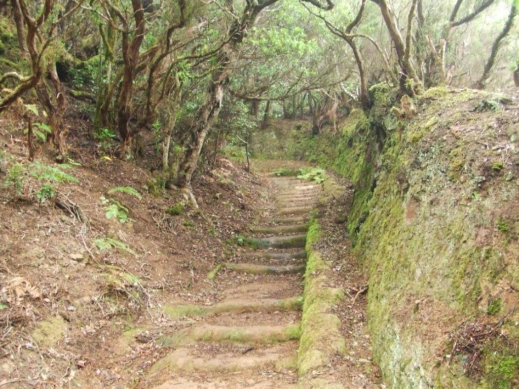 Casa Del Cu Bano B- Biosphere Reserve Santa Cruz de Tenerife Dış mekan fotoğraf